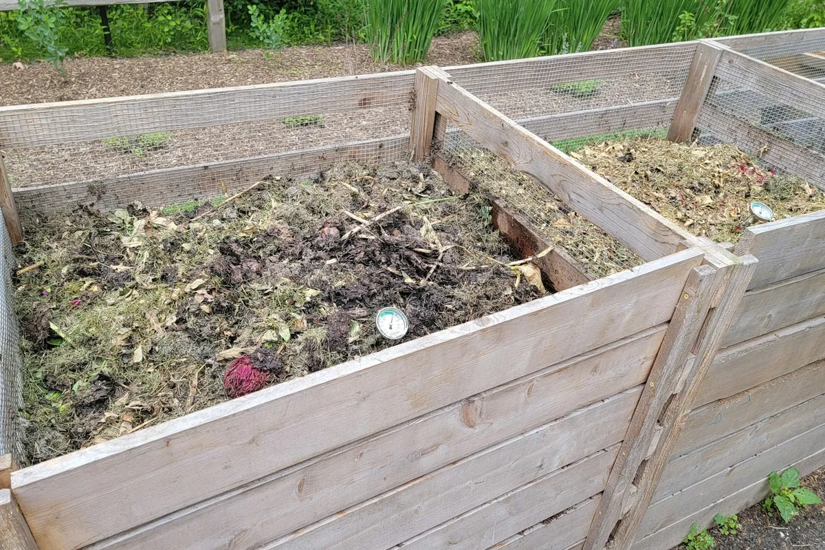 Wooden slatted compost bins with wire mesh sides and a compost thermometer in the nearest pile