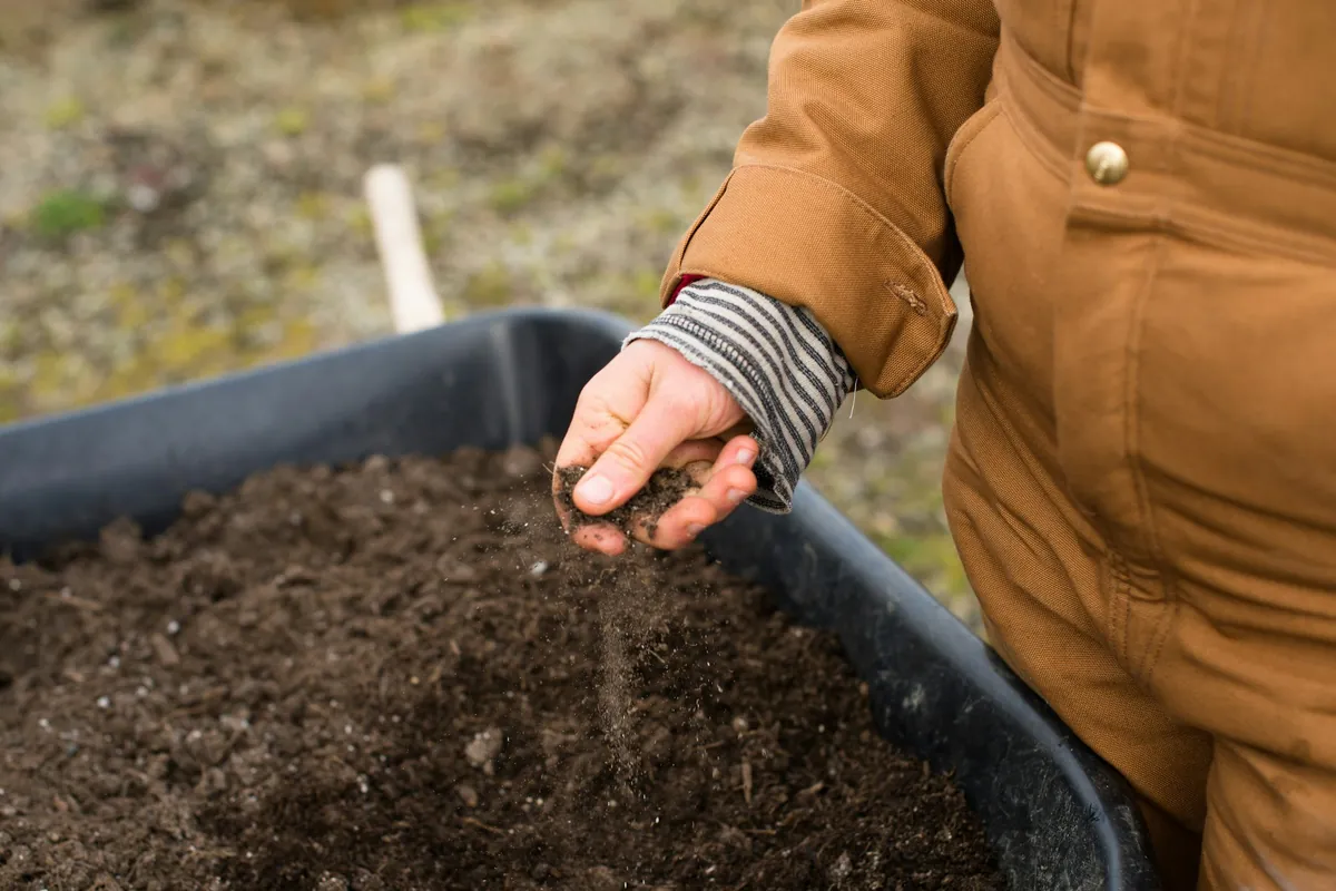 A hand in a canvas work sleeve sifting dark compost over a full wheelbarrow