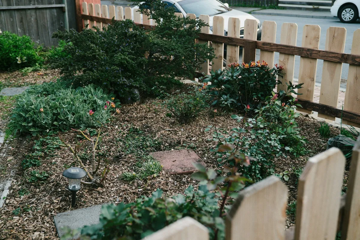 A mulched shrub bed behind a wooden picket fence, with a solar path light and a stepping stone