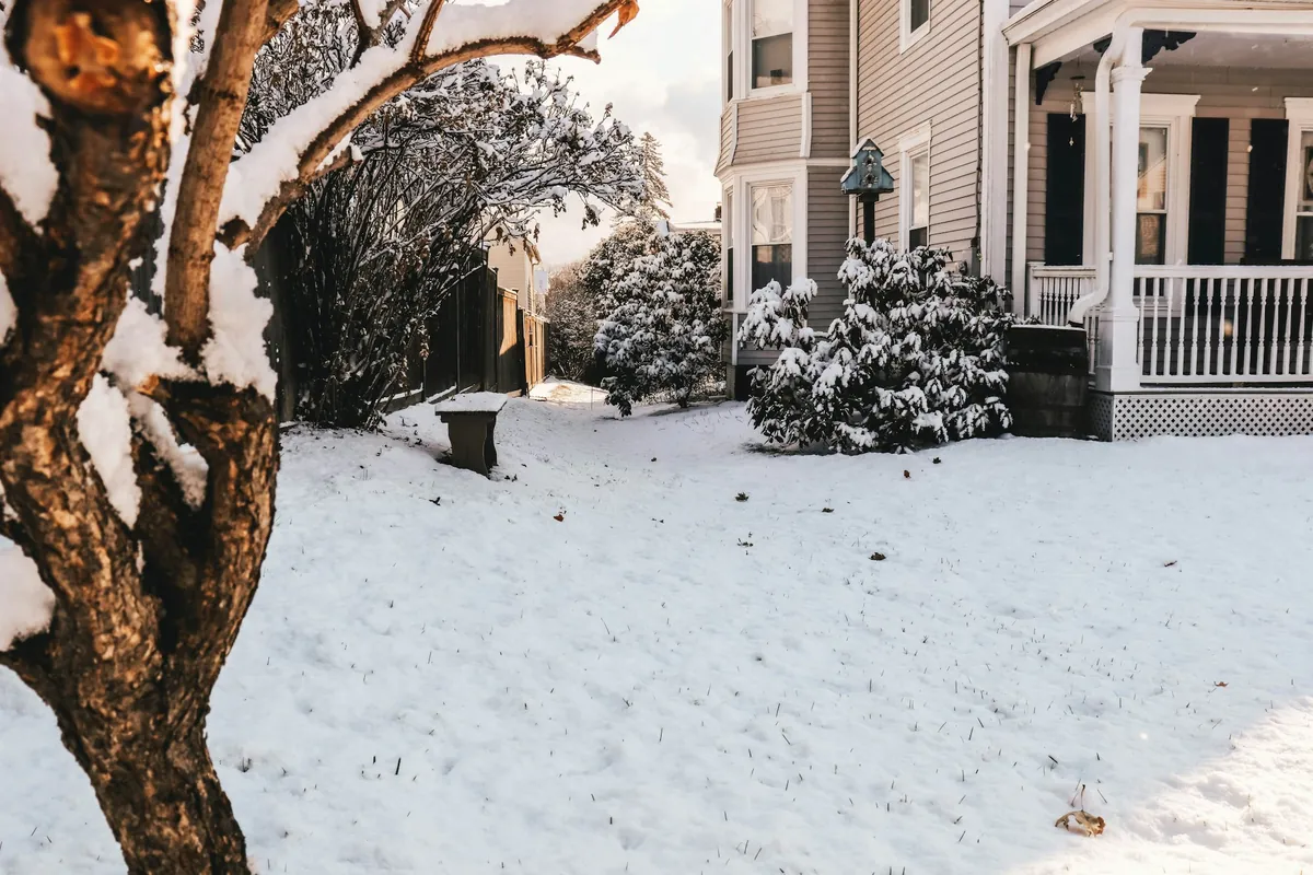 Snow-covered shrubs in a backyard beside a house with a white porch railing