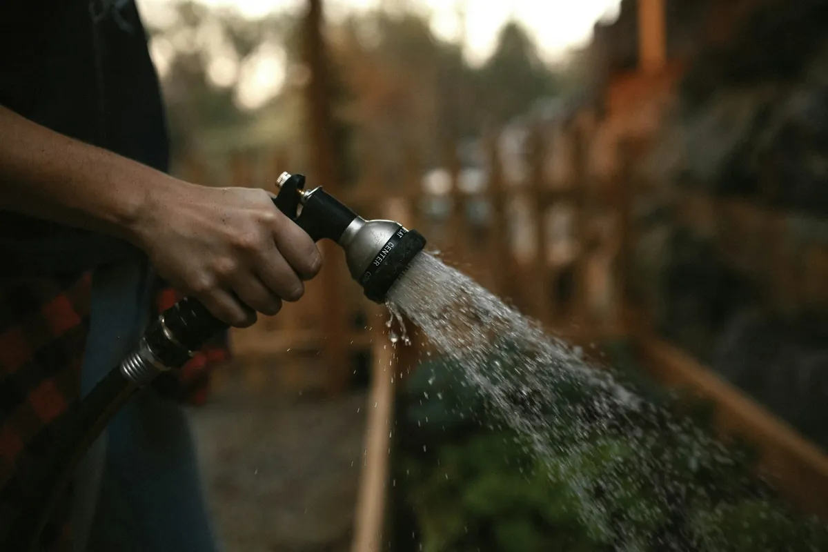 A hand spraying water from a hose nozzle beside a wooden raised bed in evening light