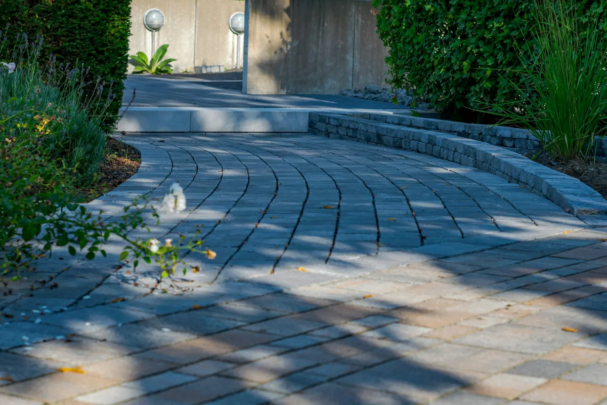A curved concrete paver walkway with a raised paver edge along a planted border