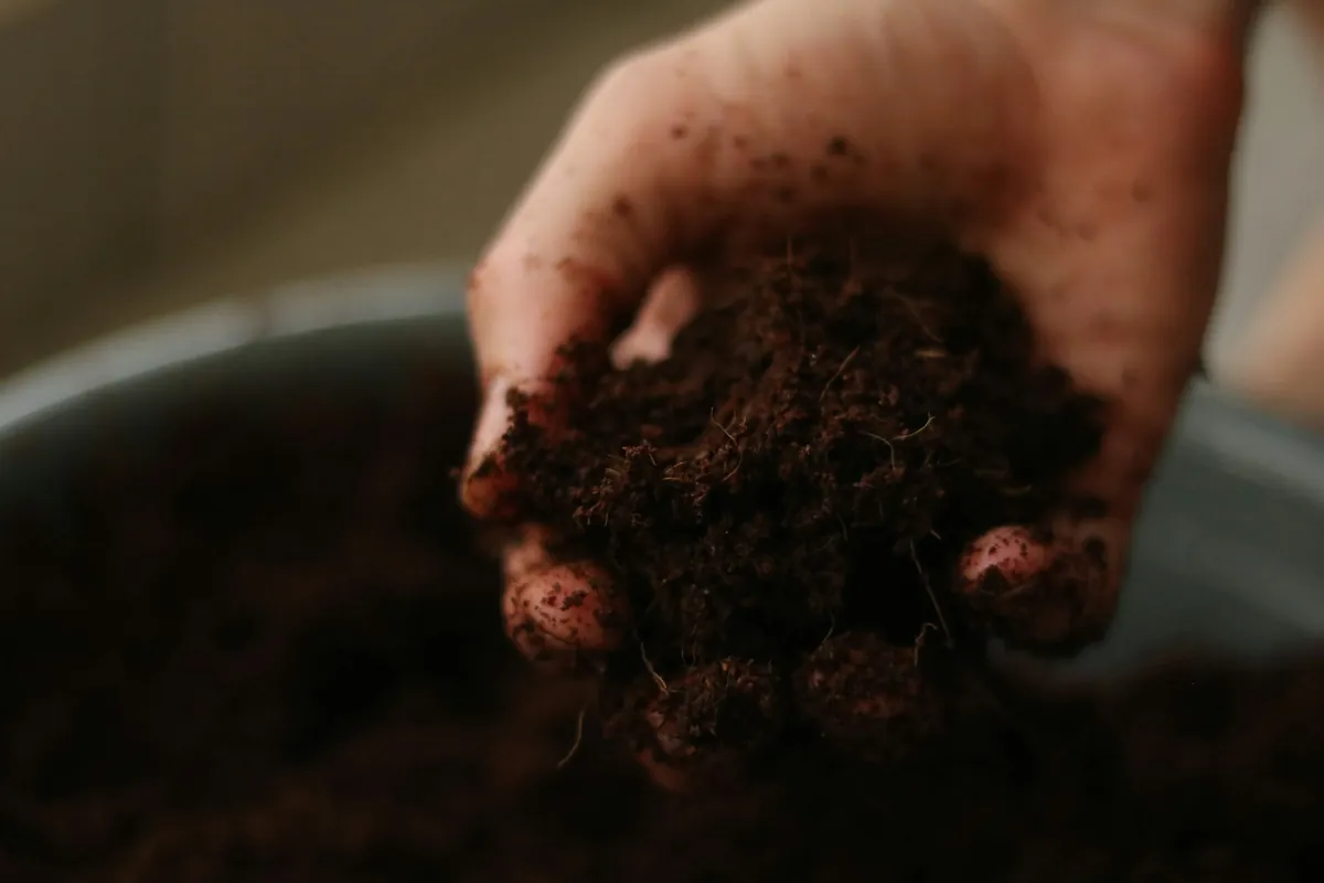A hand scooping loose potting mix out of a container